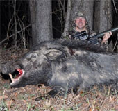 Quái thú lợn rừng 227kg bị hạ gục