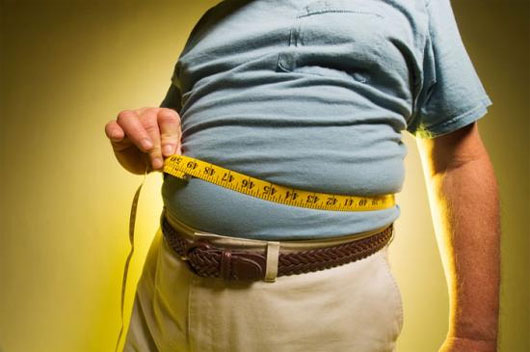 Xác định được gene quan trọng nhất gây bệnh béo phì