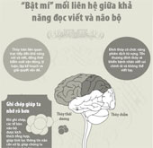 Mối liên hệ giữa khả năng đọc viết và não bộ