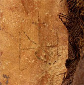 Hình xăm của xác ướp sông Nile 1.300 năm tuổi