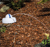 Robot Droplet tự động tưới nước phù hợp với từng giống cây