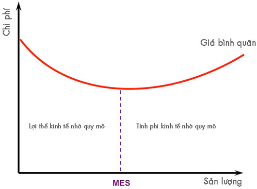 Tại sao sữa được chứa trong hộp giấy chữ nhật?