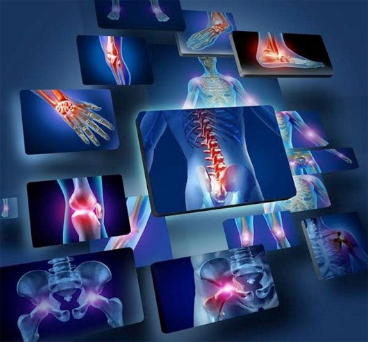 Những điều bí ẩn kỳ lạ về 10 bộ phận cơ thể con người