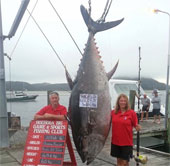 Câu được cá ngừ "siêu khủng" nặng 411,6kg