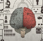 Bộ não của các doanh nhân có gì khác biệt?