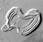 Hình trái tim trên núi lửa sao Hỏa