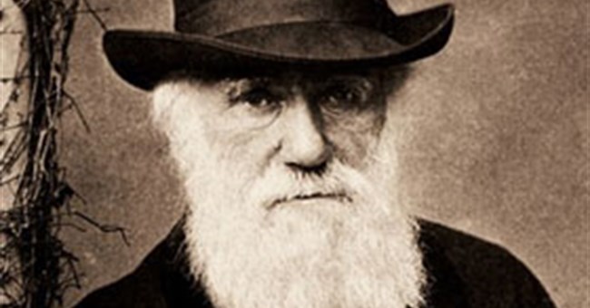 Càng mọc nhiều râu, đàn ông càng kém hấp dẫn