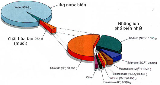 Biển Đen - Nơi có độ mặn nước biển bậc nhất thế giới​