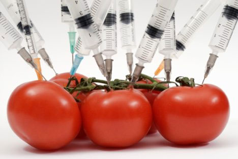 Những thí nghiệm biến đổi gene điên rồ nhất trong lịch sử
