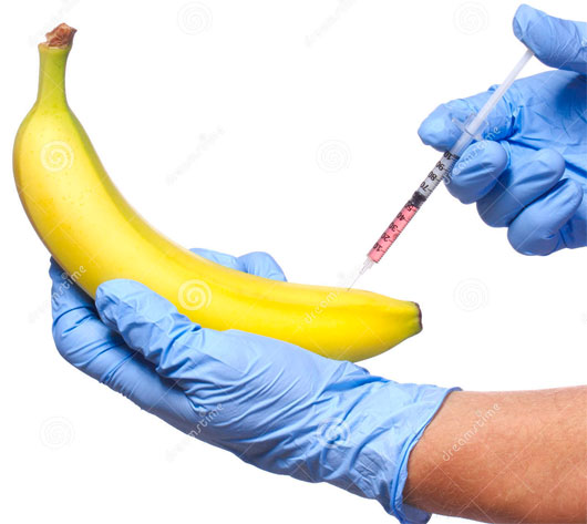 Những thí nghiệm biến đổi gene điên rồ nhất trong lịch sử