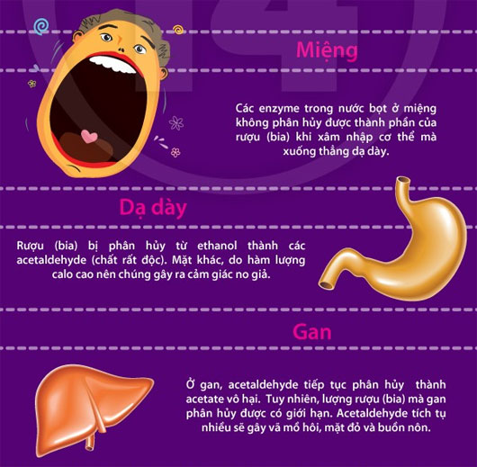 Check tác hại của rượu bia đến từng bộ phận cơ thể