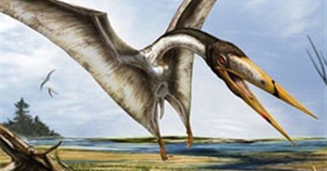 Phát hiện hóa thạch thằn lằn bay thời tiền sử