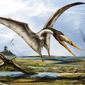 Phát hiện hóa thạch thằn lằn bay thời tiền sử