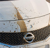 Nissan giới thiệu xe tự làm sạch vết bẩn nhờ lớp sơn phủ nano