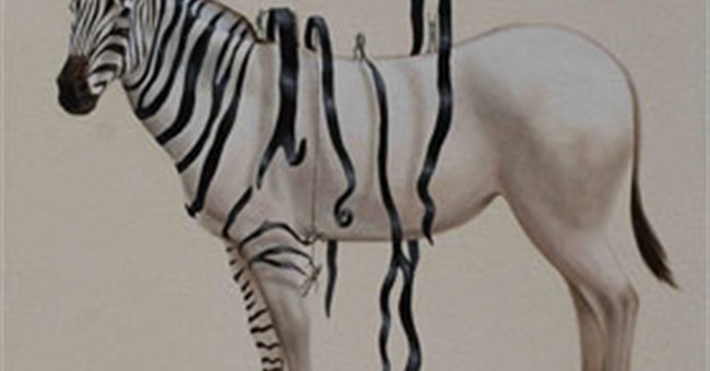 Giải thích vui: Điều hiển nhiên của động vật nhưng chẳng ai biết