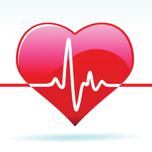 Vì sao cơ tim là cơ bắp khỏe nhất?