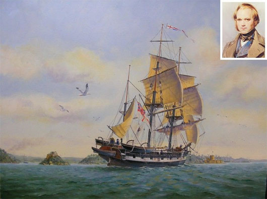 Chiếc đồng hồ hàng hải gắn liền với các cuộc thám hiểm của Charles Darwin