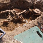 Phát hiện hóa thạch xương chó ngao ma huyền thoại cao hơn 2m