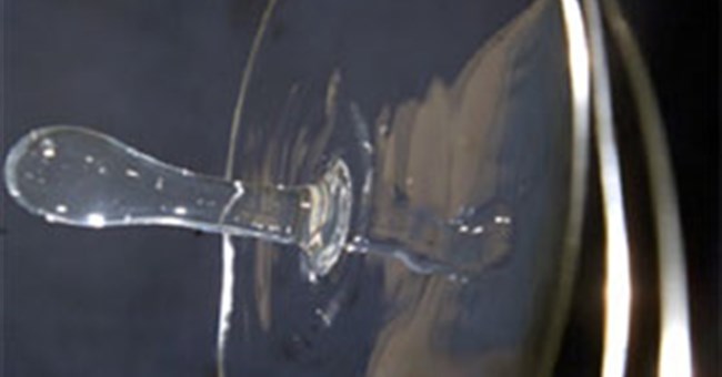 Những biến đổi thú vị trong môi trường không trọng lực