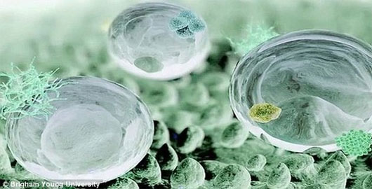 Nghiên cứu: Tạo ra vật liệu siêu chống thấm hoàn hảo