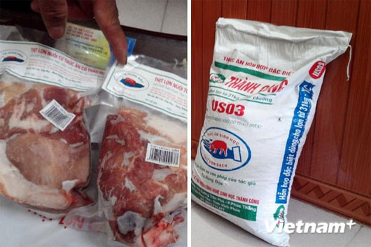Nhà sáng chế nuôi lợn bằng thức ăn sinh học có thảo dược