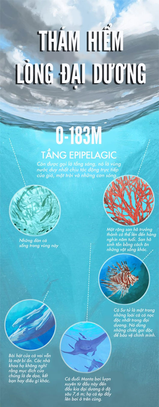 Thám hiểm lòng đại dương