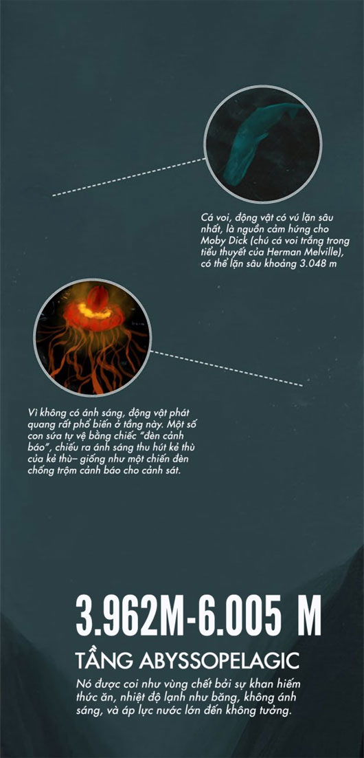 Thám hiểm lòng đại dương