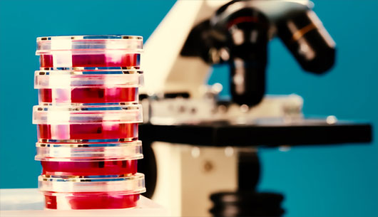 Mô phỏng dạng đột biến hỗ trợ điều trị HIV