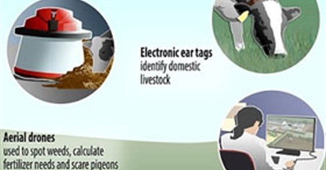 Mô hình trang trại công nghệ cao tại Anh