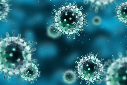 Tạo thành công virus cúm chết người trong phòng thí nghiệm