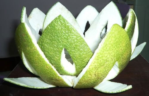 Tác dụng chữa bệnh của vỏ trái cây