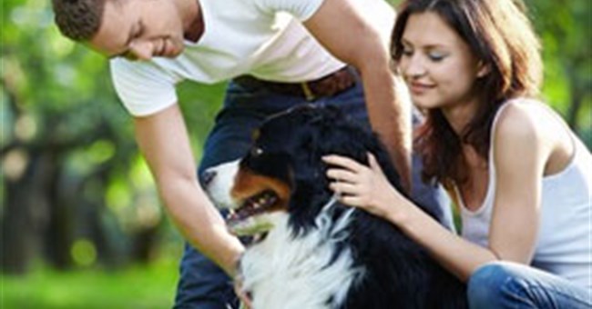 Nghiên cứu cho thấy tính cách "khó ưa" ở những người yêu chó