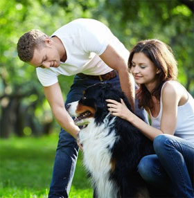 Nghiên cứu cho thấy tính cách "khó ưa" ở những người yêu chó