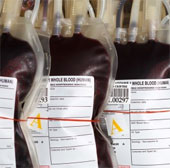 Nghiên cứu thử nghiệm máu nhân tạo