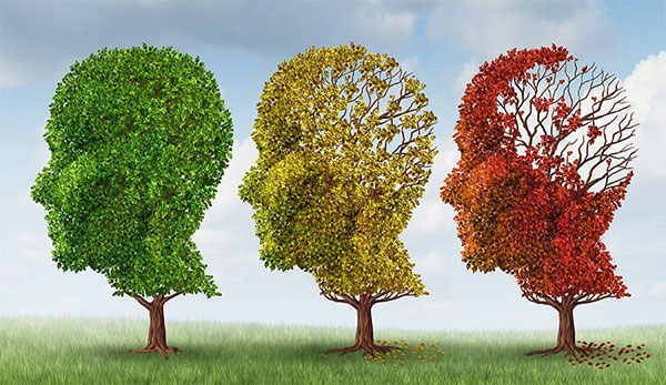 7 kỹ năng ghi nhớ giúp bạn có trí thông minh 