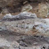 Phân tích hóa thạch phân của người cổ đại