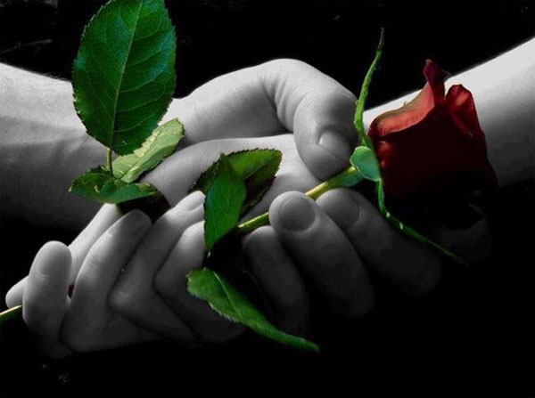 Vì sao sự trả thù lại ngọt ngào?
