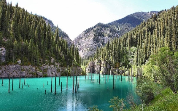 Khu rừng dưới nước tuyệt đẹp ở Kazakhstan