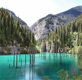 Khu rừng dưới nước tuyệt đẹp ở Kazakhstan  