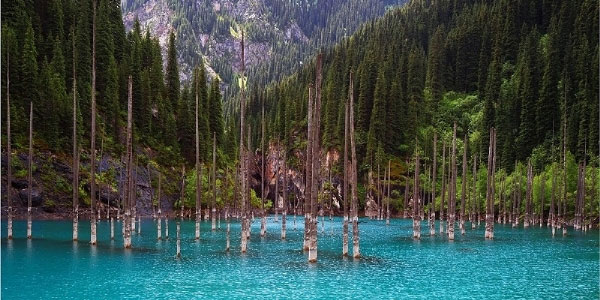 Khu rừng dưới nước tuyệt đẹp ở Kazakhstan