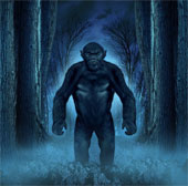Bí ẩn về dã nhân Bigfoot được làm sáng tỏ