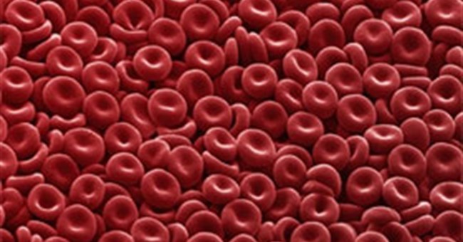 Phát minh “siêu máu” miễn dịch với điôxin