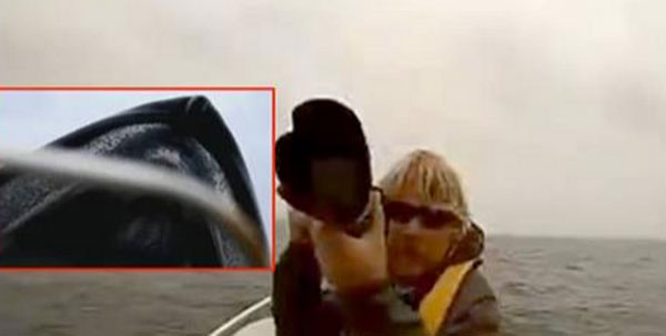 Video: Cá voi xanh đội cả thuyền nhô lên mặt nước