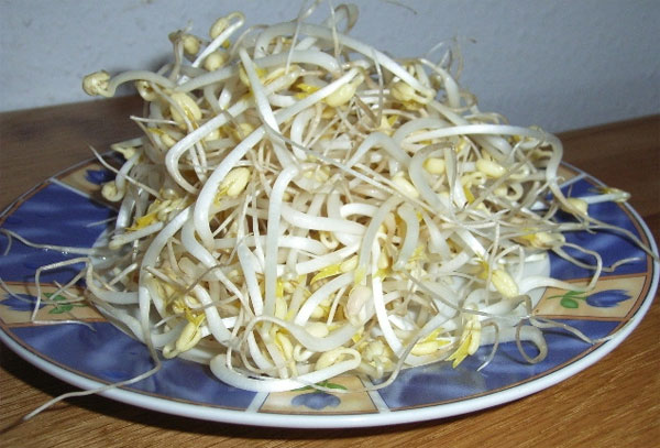 6 lý do nên ăn giá đỗ thường xuyên