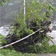 Bão Rammasun làm 4 người chết ở Trung Quốc