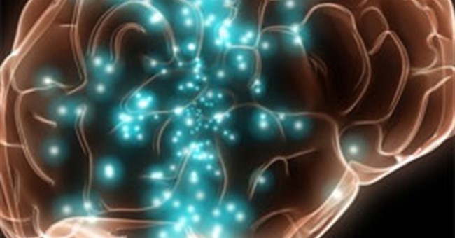 Tại sao ở nhiệt độ lạnh con người lại thông minh hơn?