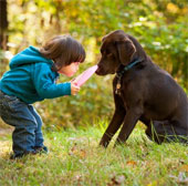 Phát hiện thú vị: Loài chó cũng biết ghen giống con người