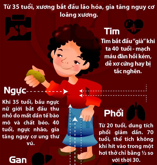 Đọ độ tuổi lão hóa của các bộ phận cơ thể con người