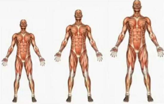 Con người thay đổi thế nào trong 100 năm qua