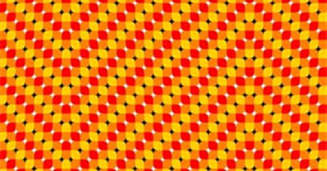 Những hình ảo giác kỳ lạ khiến người xem buồn nôn